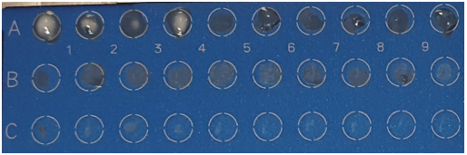 Et bilde som inneholder skjermbilde, bl�

KI-generert innhold kan v�re feil.